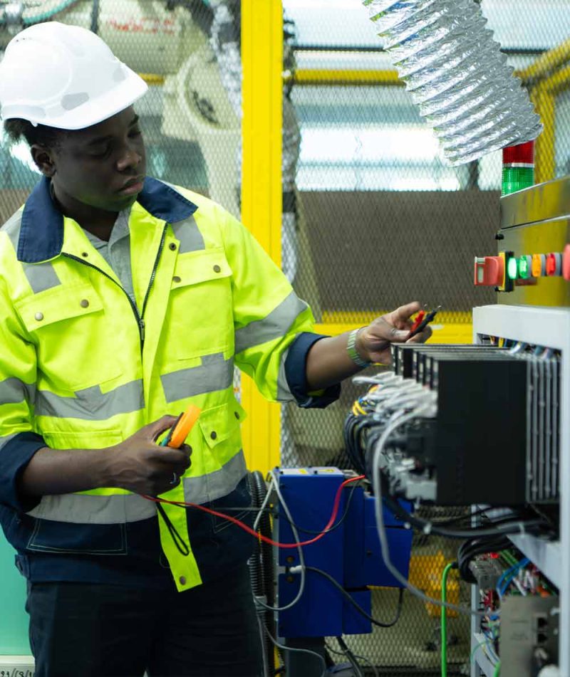 Bat Eleq - À propos